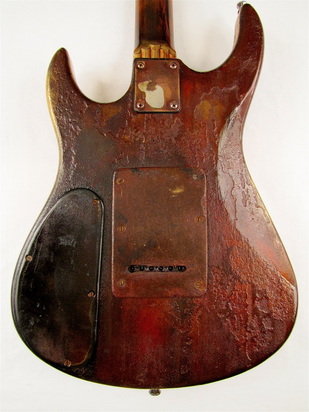 LightHouse electric guitar body back Picture