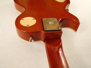 Lidia guitar top edge back Picture