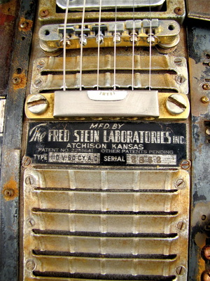 Steinlite electric guitar mid detail Picture
